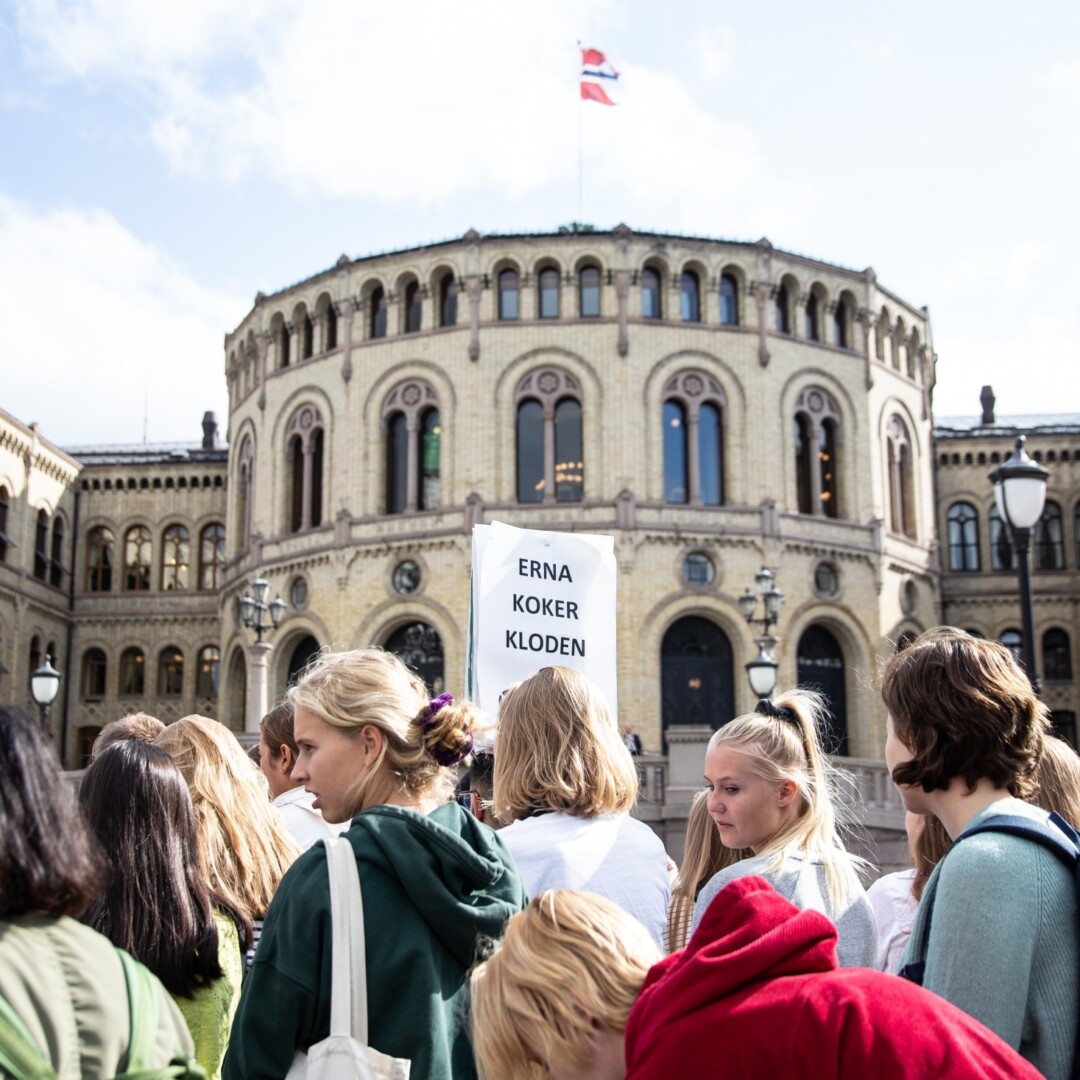 I fjor høst streiket Natur og Ungdom for å demonstrere mot kunnskapsløse politikere som ikke evner å ta klimakampen alvorlig. (Foto: Eirin Torgersen/Natur og Ungdom)