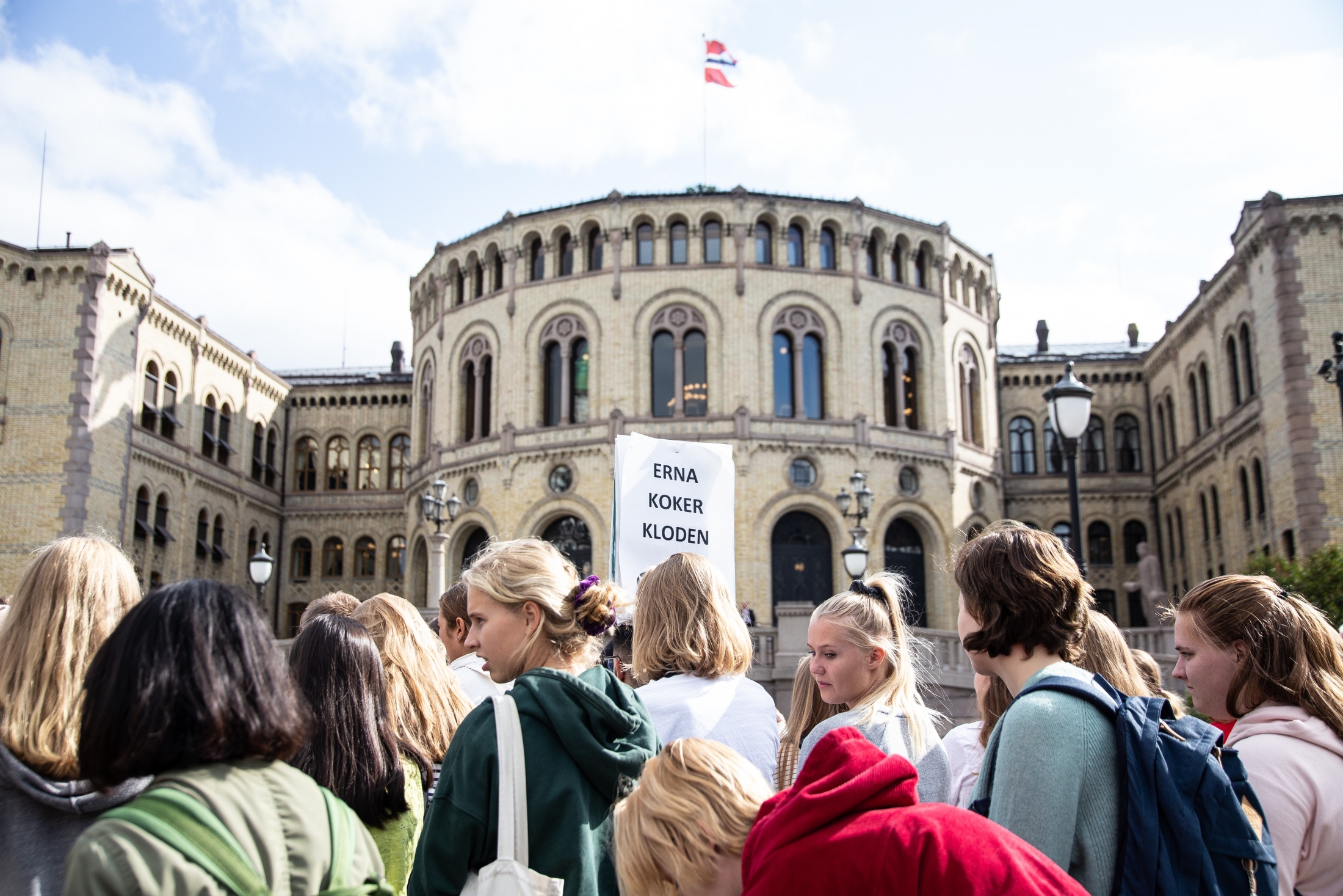 I fjor høst streiket Natur og Ungdom for å demonstrere mot kunnskapsløse politikere som ikke evner å ta klimakampen alvorlig. (Foto: Eirin Torgersen/Natur og Ungdom)