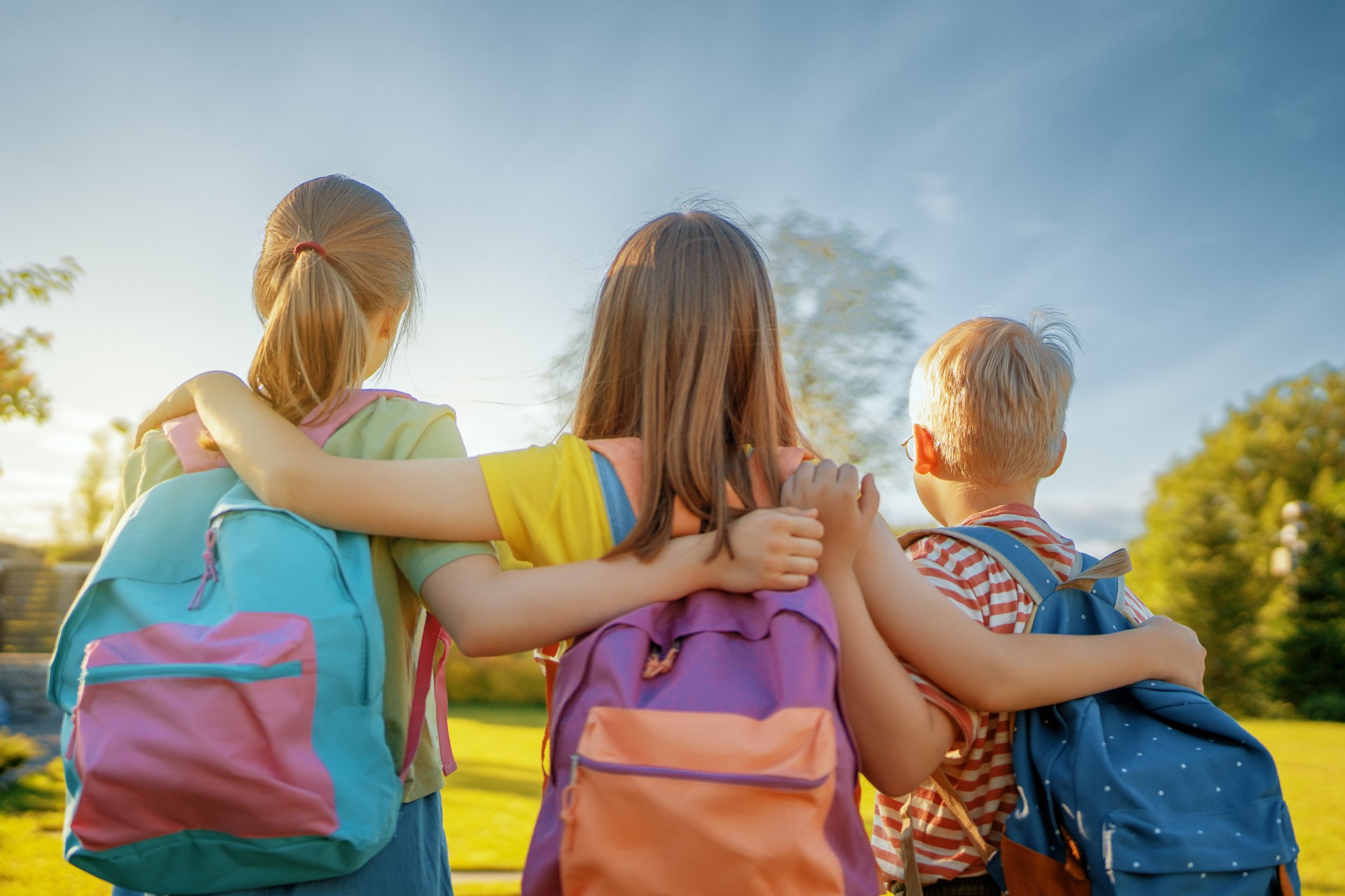 Fellesskolen Elever Skolenes landsforbund